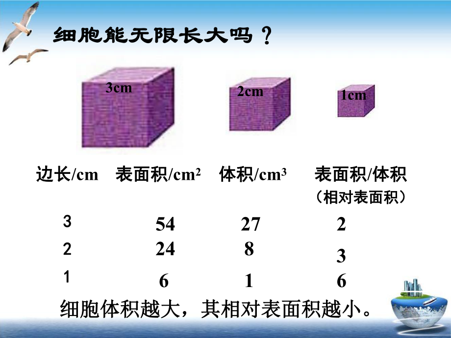 细胞的分裂和分化示范课件.ppt_第3页