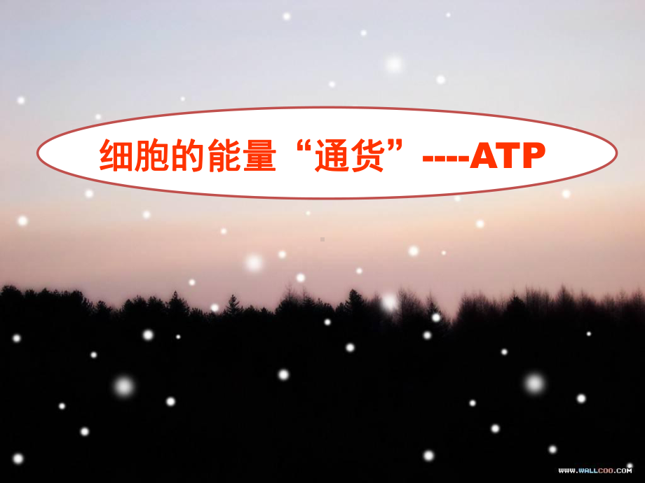 细胞的能量通货-ATP(课件).ppt_第1页