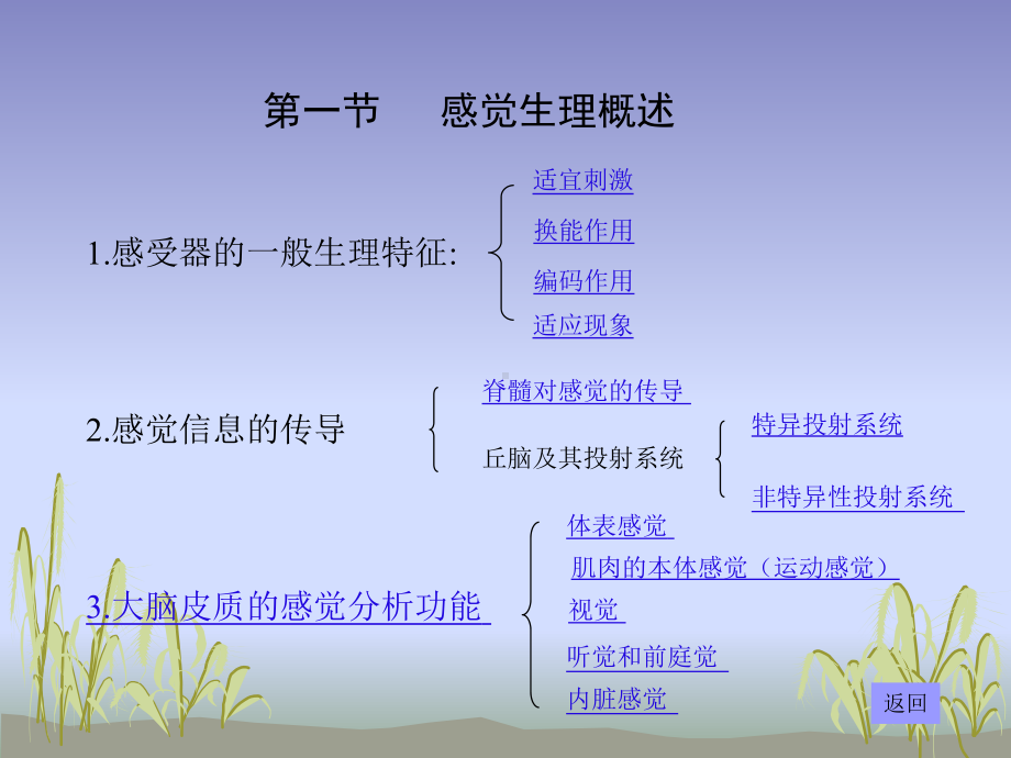 第九章-感觉与运动课件.ppt_第3页