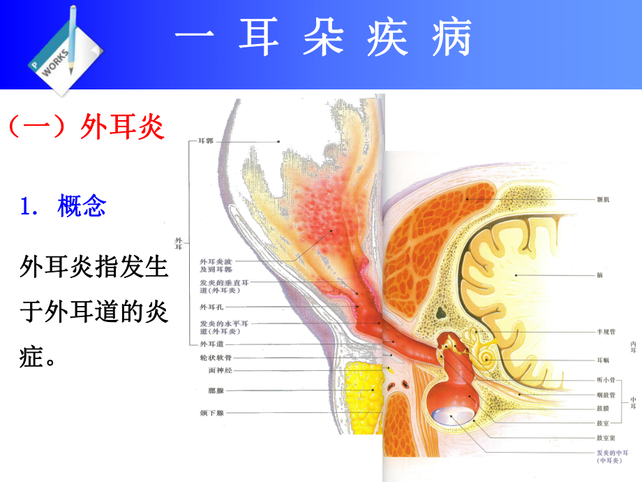 第六章-头部疾病理论课件.ppt_第2页