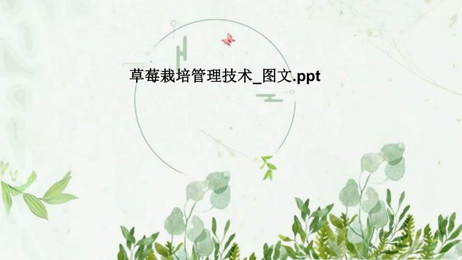 草莓栽培管理技术-课件.pptx_第1页