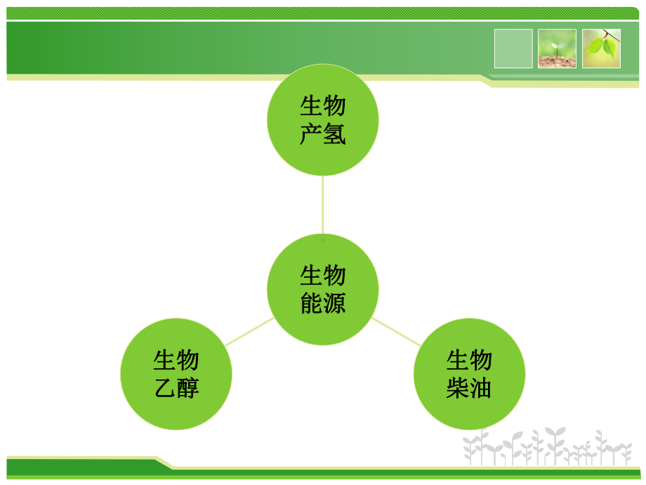 微生物生物能源发展现状及趋势剖析课件.ppt_第3页