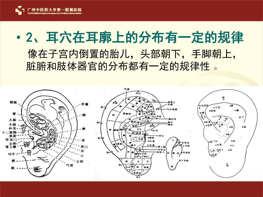 耳穴压贴操作课件.ppt_第3页