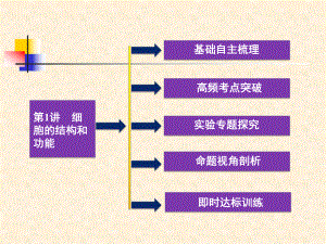 高频考点突破课件.pptx