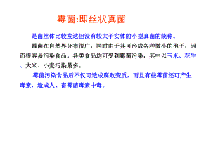 霉菌污染鉴别及注意事项课件.ppt