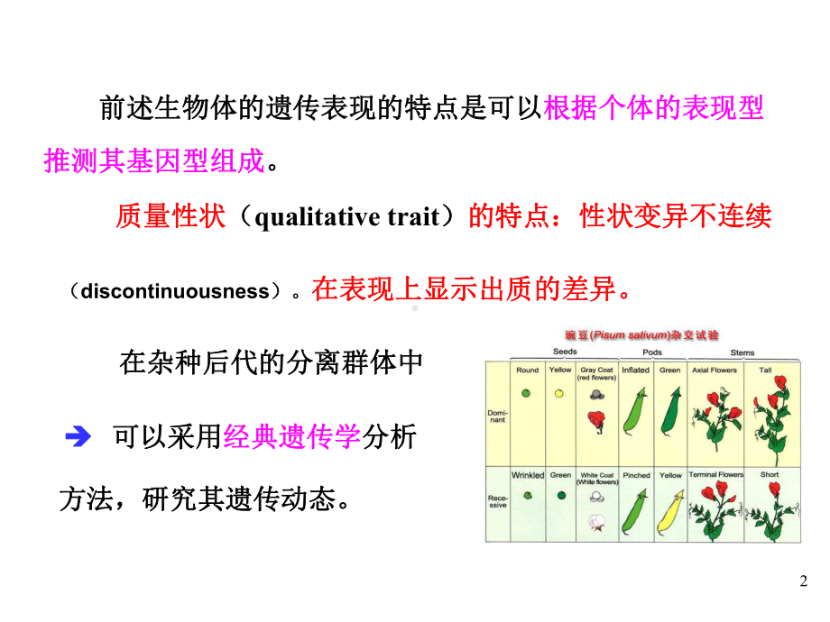 第九章数量性状遗传课件.ppt_第2页