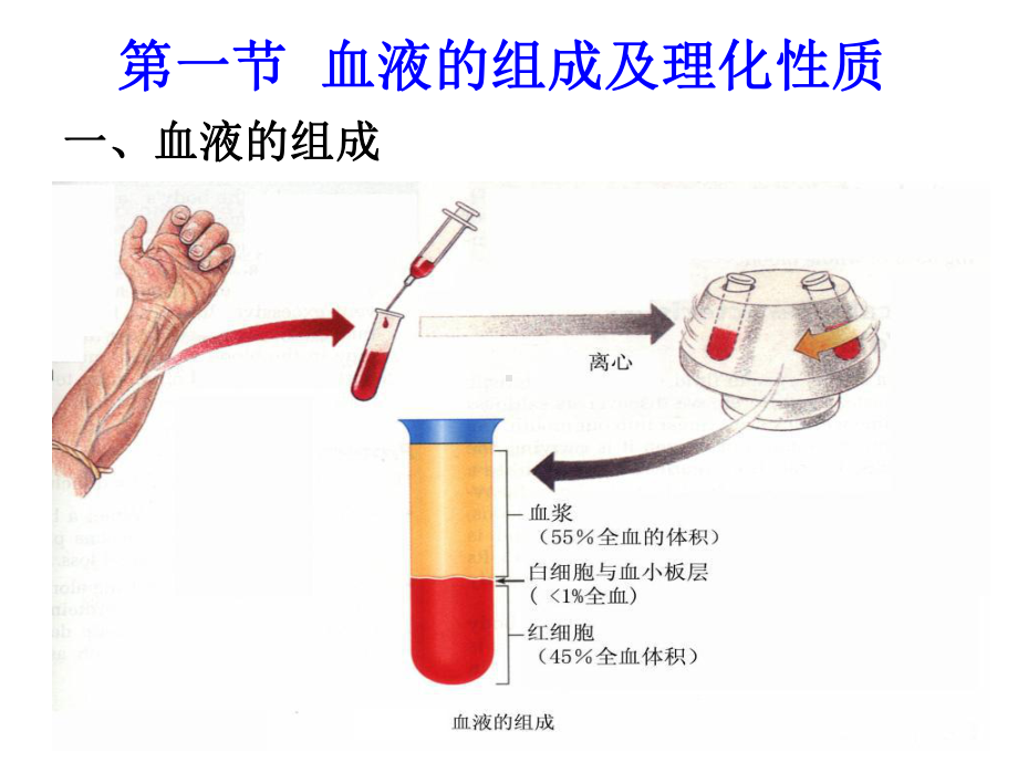 血液的生理功能课件.ppt_第2页