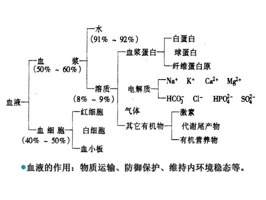 血液的生理功能课件.ppt_第3页