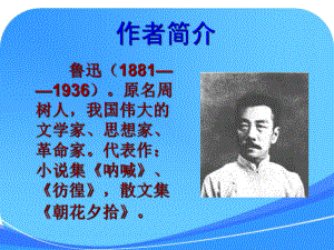 阿长与山海经优秀课件-.ppt