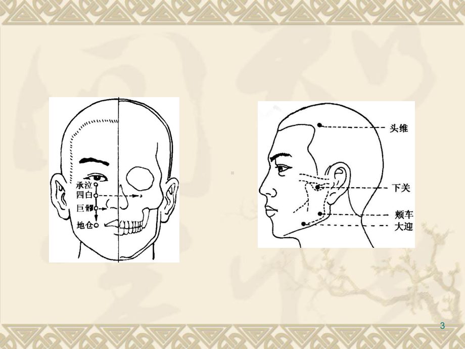 针灸学经络腧穴各论足六经穴课件.ppt_第3页