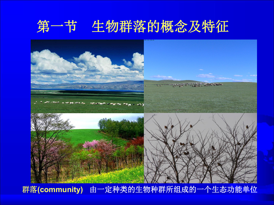 第四章-生物群落课件.ppt_第3页