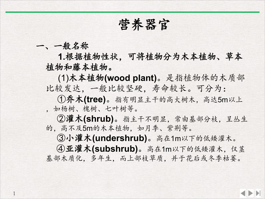 被子植物分类的形态学术语课件.pptx_第3页