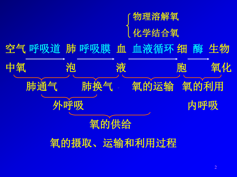 第五章缺氧课件.ppt_第2页