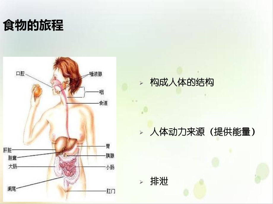 营养素的作用及与疾病关系实用版课件.ppt_第3页