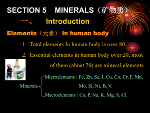 第二章营养学基础2课件.ppt