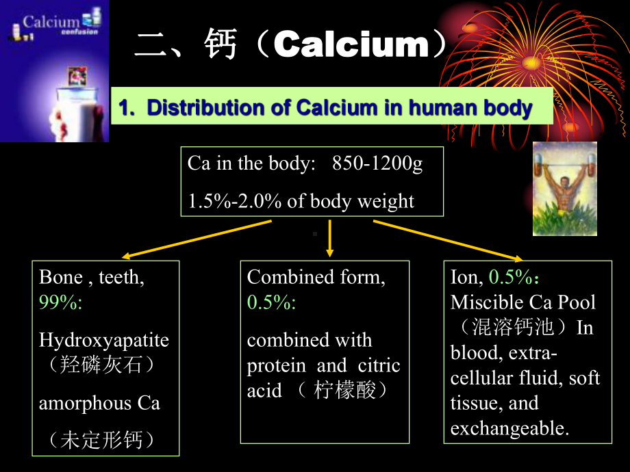 第二章营养学基础2课件.ppt_第3页