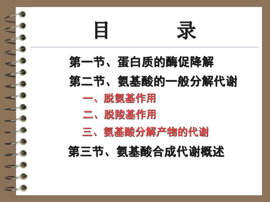 第九章蛋白质的酶促降解及氨基酸代谢课件.ppt_第2页