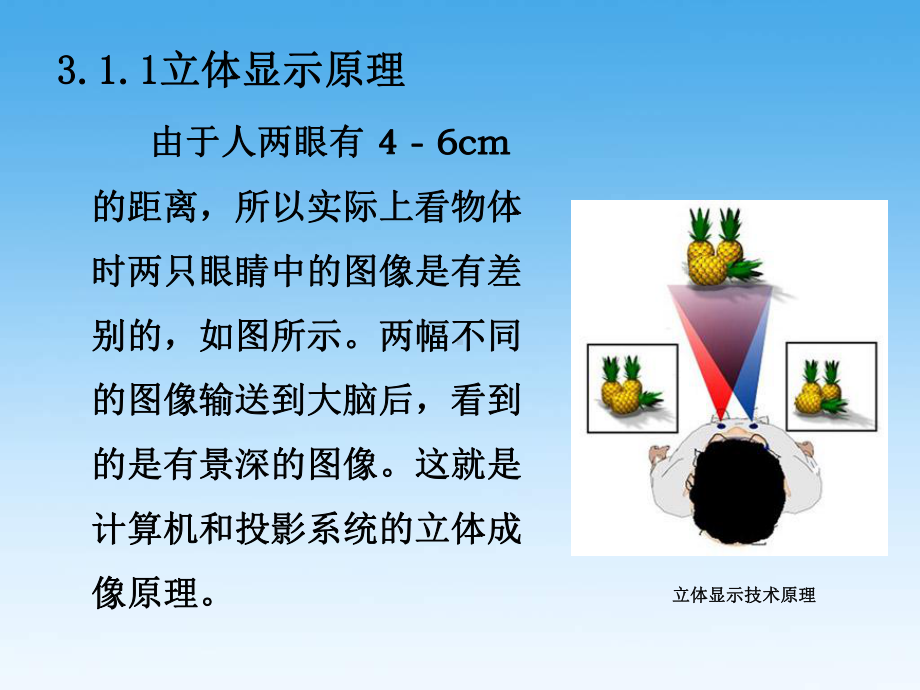 第3章虚拟现实系统的相关技术21课件.ppt_第2页