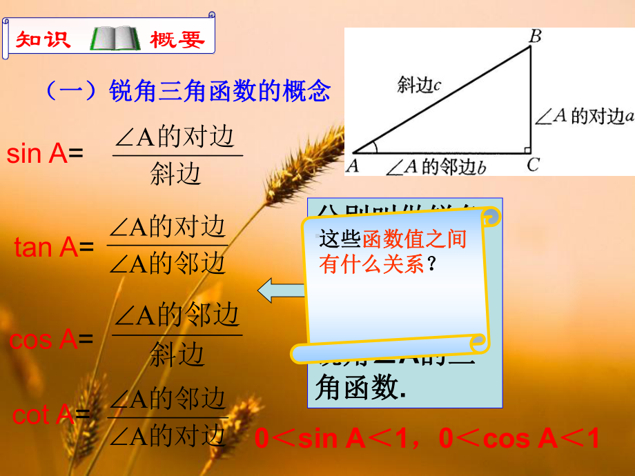 锐角三角函数教学课件.ppt_第3页