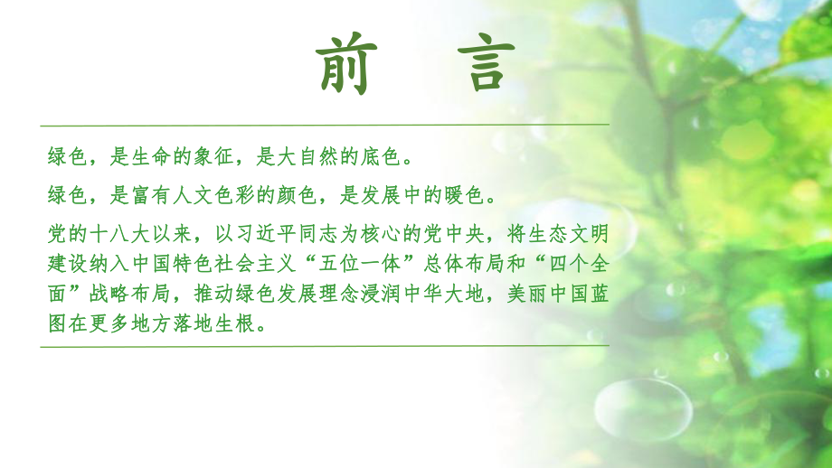 绿水青山教学课件.pptx_第2页