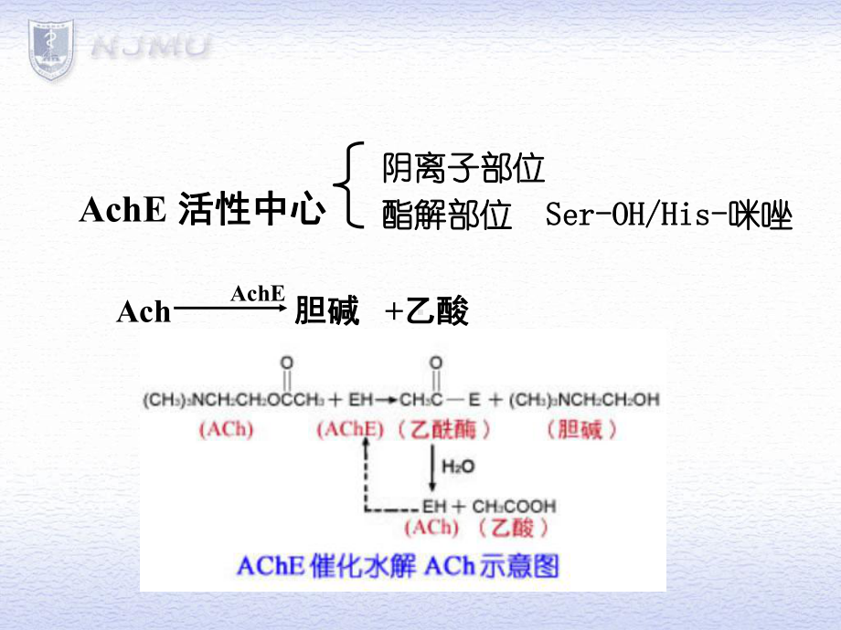 胆碱酯酶抑制药课件.ppt_第3页