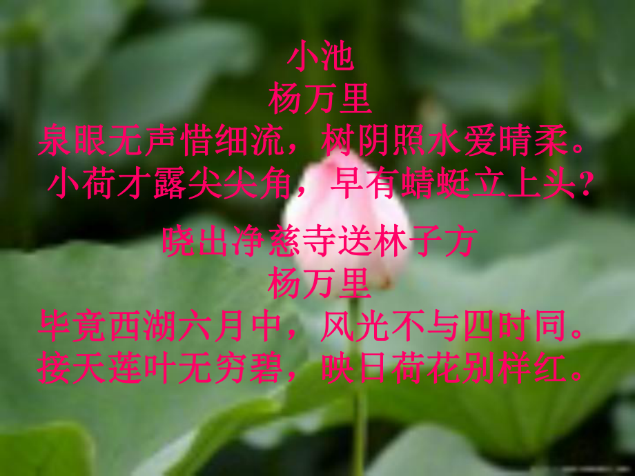 花的结构和类型课件1-济南版.ppt_第2页