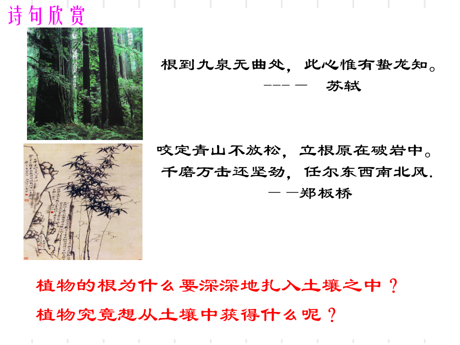 绿色植物的生长需要水和无机盐课件-苏科版.ppt_第2页