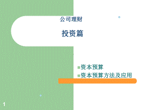 金融学专业公司理财8(投资指标及运用)课件.ppt