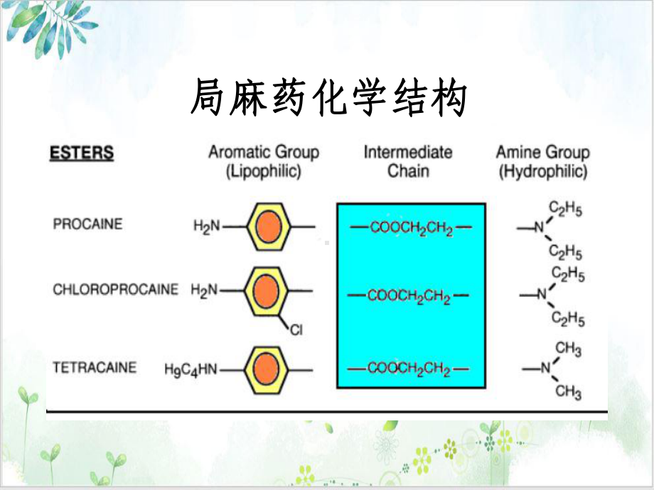 麻醉学第七章第四节局部麻醉教学课件.ppt_第3页