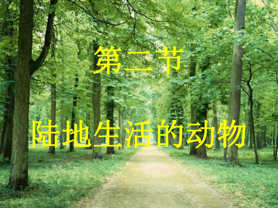 第二节陆地生活的动物课件.ppt_第1页