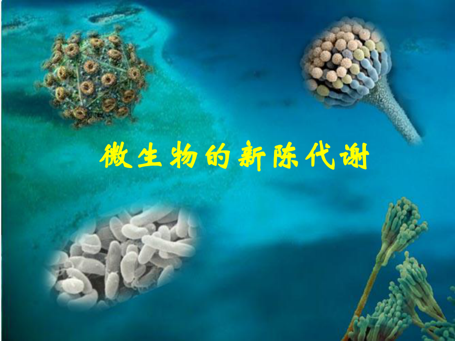 第五章-微生物的新陈代谢-第一节-微生物的能量代谢课件.ppt_第1页