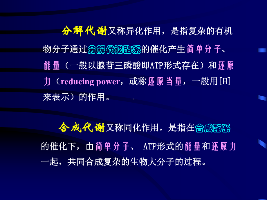 第五章-微生物的新陈代谢-第一节-微生物的能量代谢课件.ppt_第3页