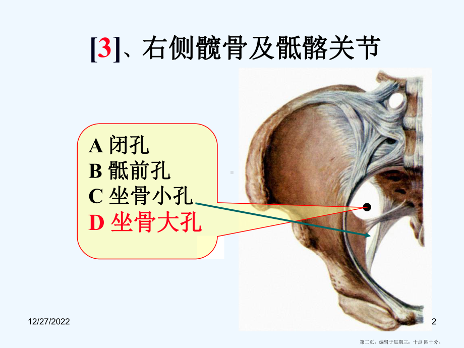 系统解剖学实验复习题库课件.ppt_第2页