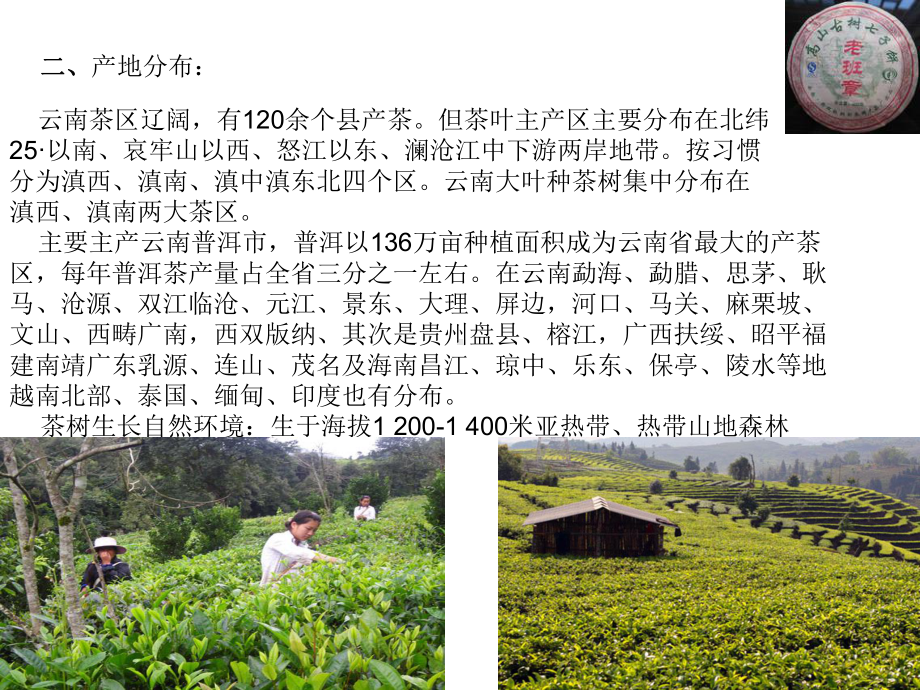 普洱茶产地知名茶山课件.ppt_第3页