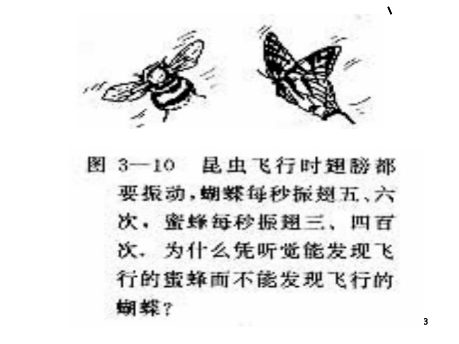 超声波和次声波课件.ppt_第3页