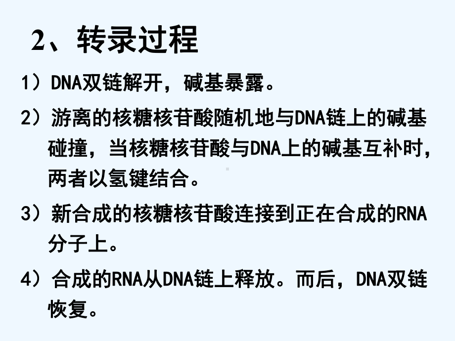 遗传信息的转录与翻译课件.ppt_第3页