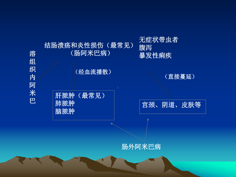 阿米巴病课件.ppt_第2页