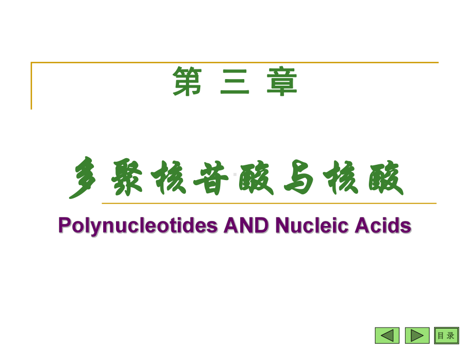 第三章-多聚核苷酸与核酸课件.ppt_第1页