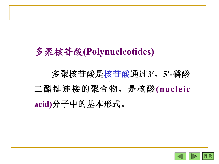 第三章-多聚核苷酸与核酸课件.ppt_第2页