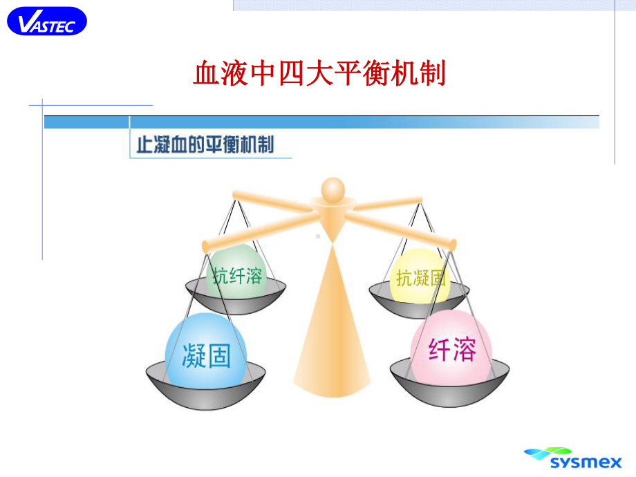 血凝基础理论课件.ppt_第2页