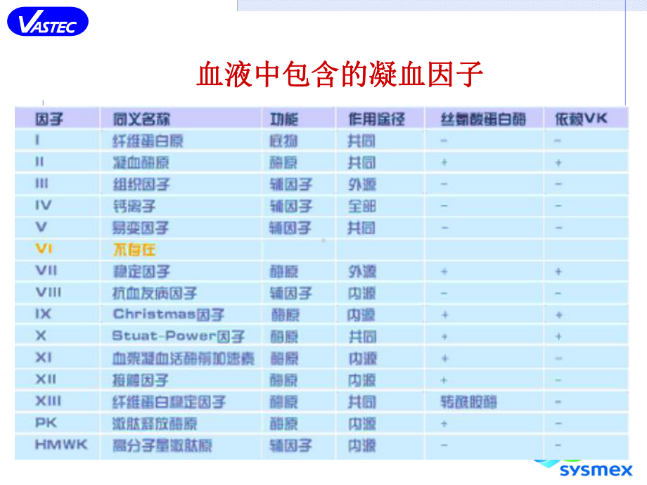 血凝基础理论课件.ppt_第3页