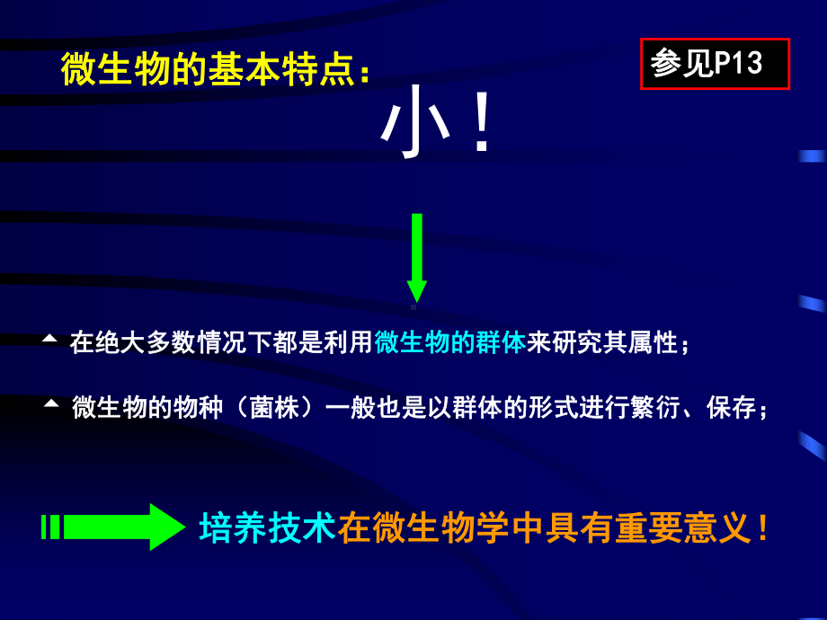 第2章纯培养和显微技术课件.ppt_第2页