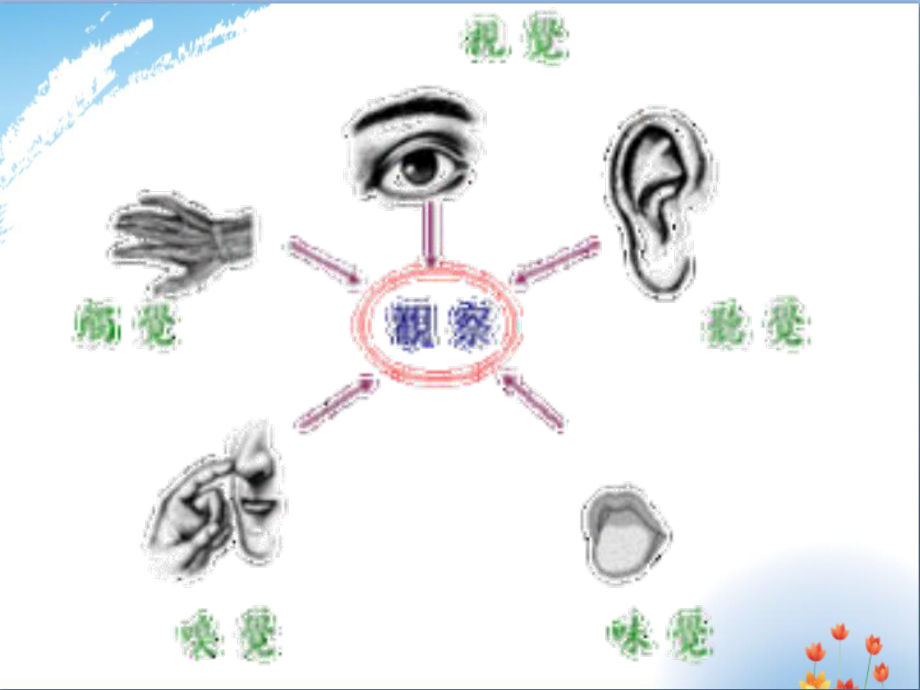 运用多种感官描写优秀课件.ppt_第1页