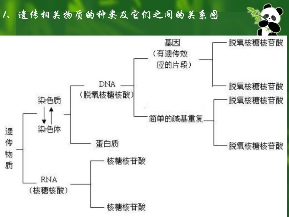 遗传、变异和生物进化-优秀课件.ppt_第3页