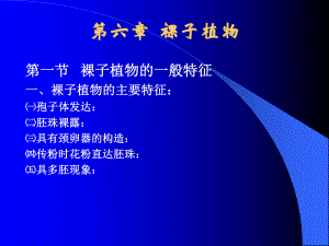 第六章裸子植物课件.ppt