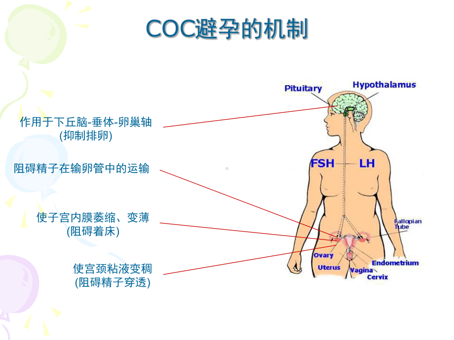 避孕药的非避孕作用课件.ppt_第2页