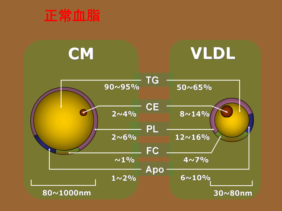 老年医学课件-老年脂代谢异常.ppt_第3页