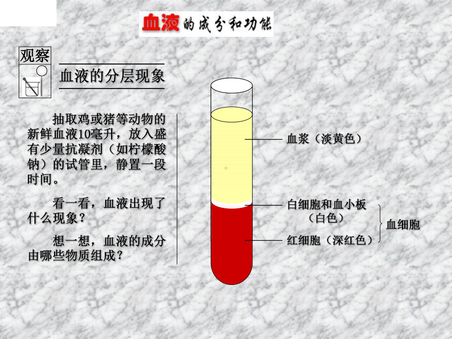 血液循环机人体的排泄授课课件.ppt_第2页