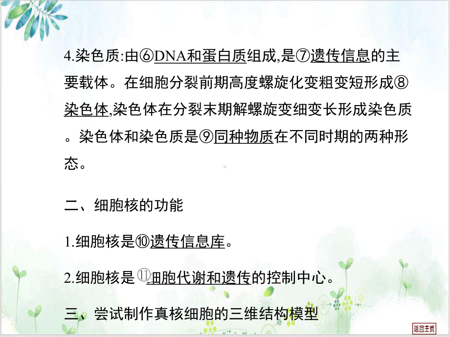 第三课时细胞核系统的控制中心培训课程课件.ppt_第3页