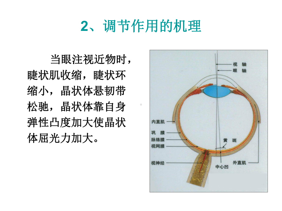 调节集合与视疲劳课件.ppt_第3页